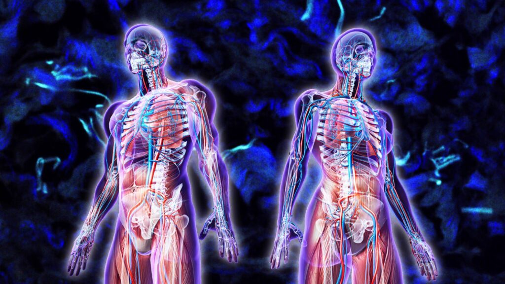 ghế massage có tác dụng gì?