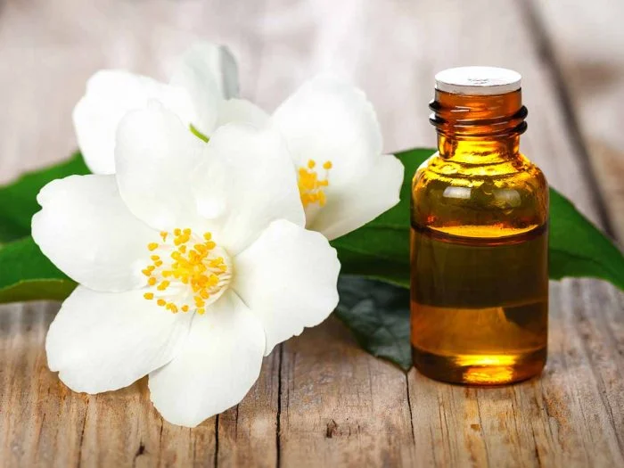 8 Loại Dầu Mát Xa Toàn Thân Hiệu Quả & Công Dụng 8