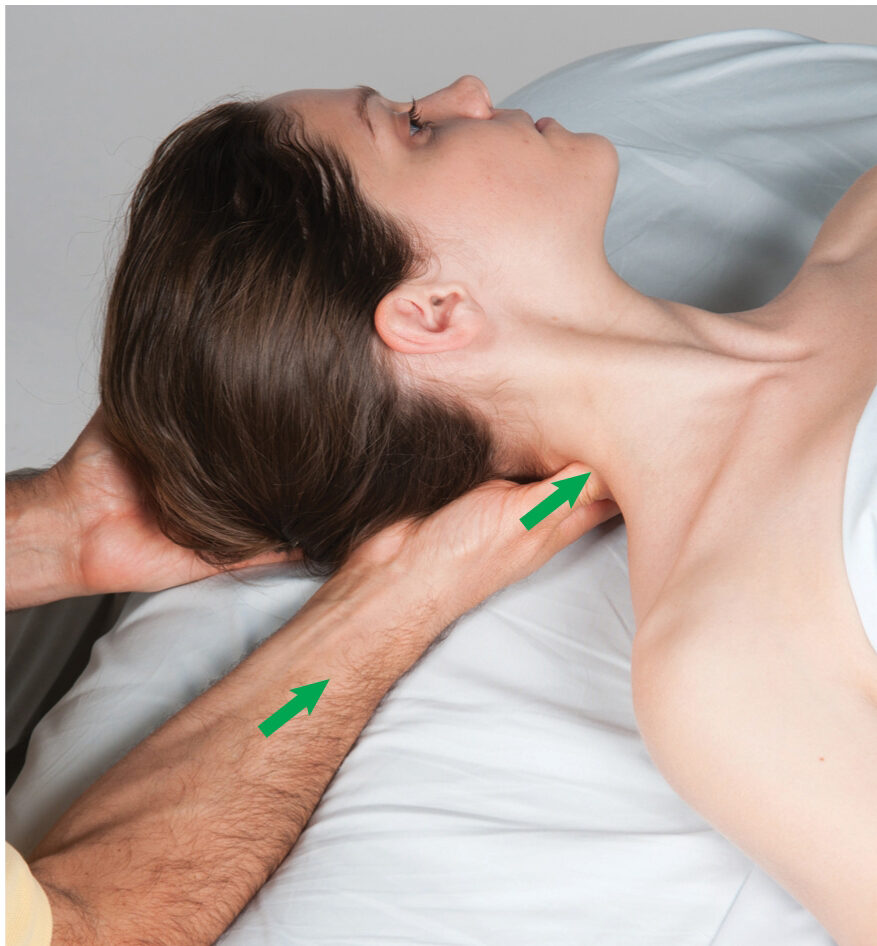Tổng Hợp 7 Cách Massage Toàn Thân Tại Nhà Dễ Làm, Thư Giãn 4 Tổng Hợp 7 Cách Massage Toàn Thân Tại Nhà Dễ Làm, Thư Giãn 4