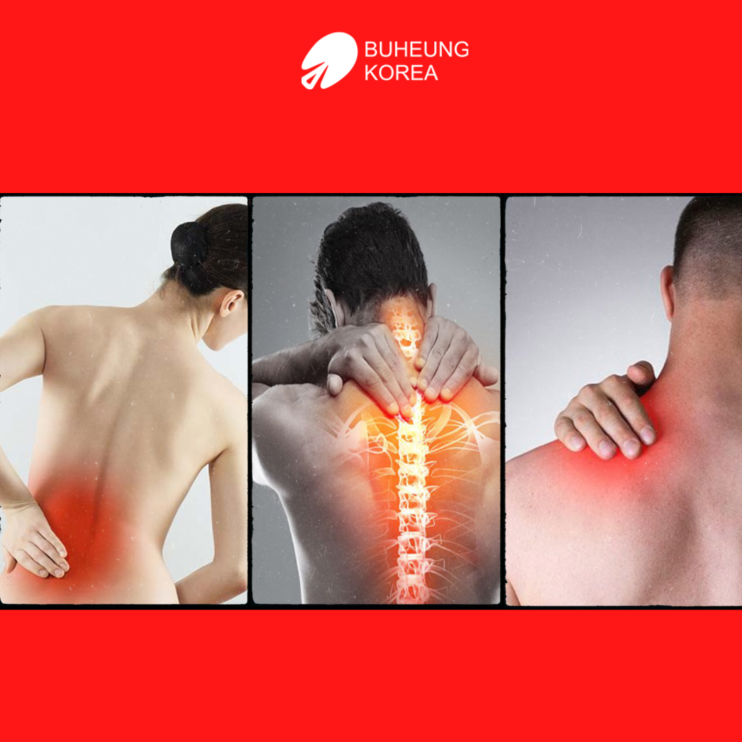 So Sánh Máy Massge Cổ & Gối Massge Cổ: Mua Loại Nào? 3