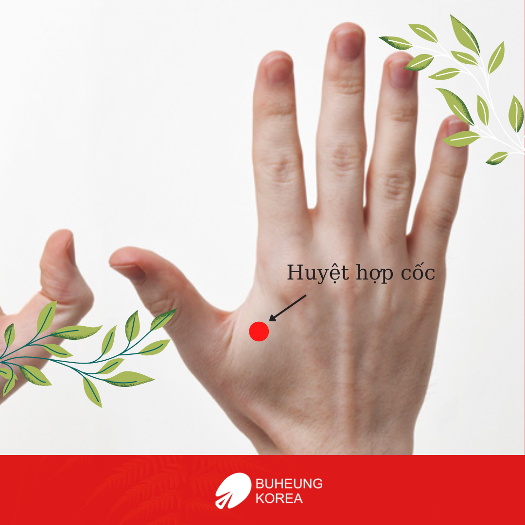 7 Bài Bấm Huyệt Chữa Đau Đầu Hiệu Quả Nhanh Chóng Tại Nhà 2