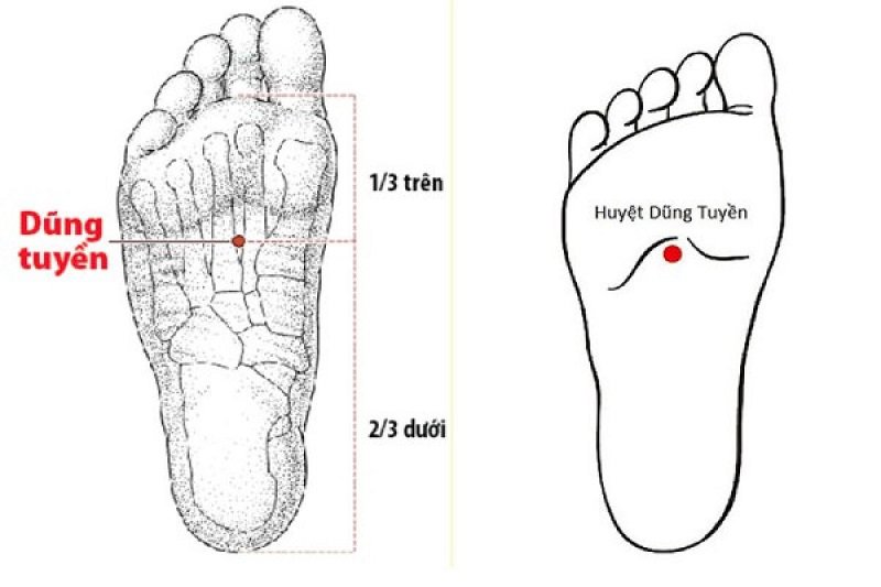 8 Bài Bấm Huyệt Chữa Mất Ngủ Hiệu Quả Tại Nhà 8 8 Bài Bấm Huyệt Chữa Mất Ngủ Hiệu Quả Tại Nhà 8