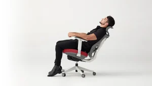 Điểm Khác Biệt Giữa Ghế Văn Phòng Và Ghế Công Thái Học 10