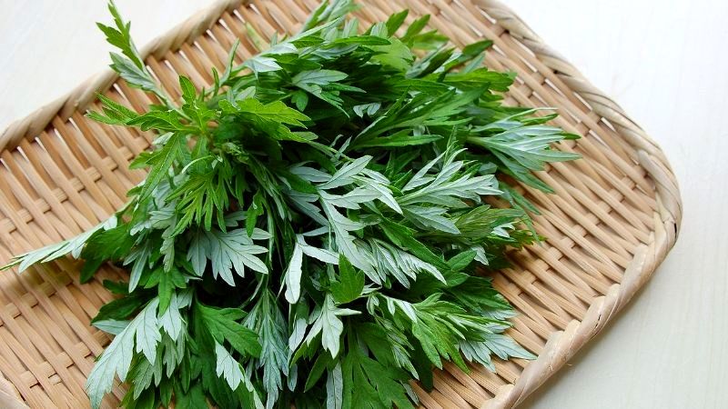 Mẹo Chữa Đau Vai Gáy Dân Gian Dễ làm Hiệu Quả 5