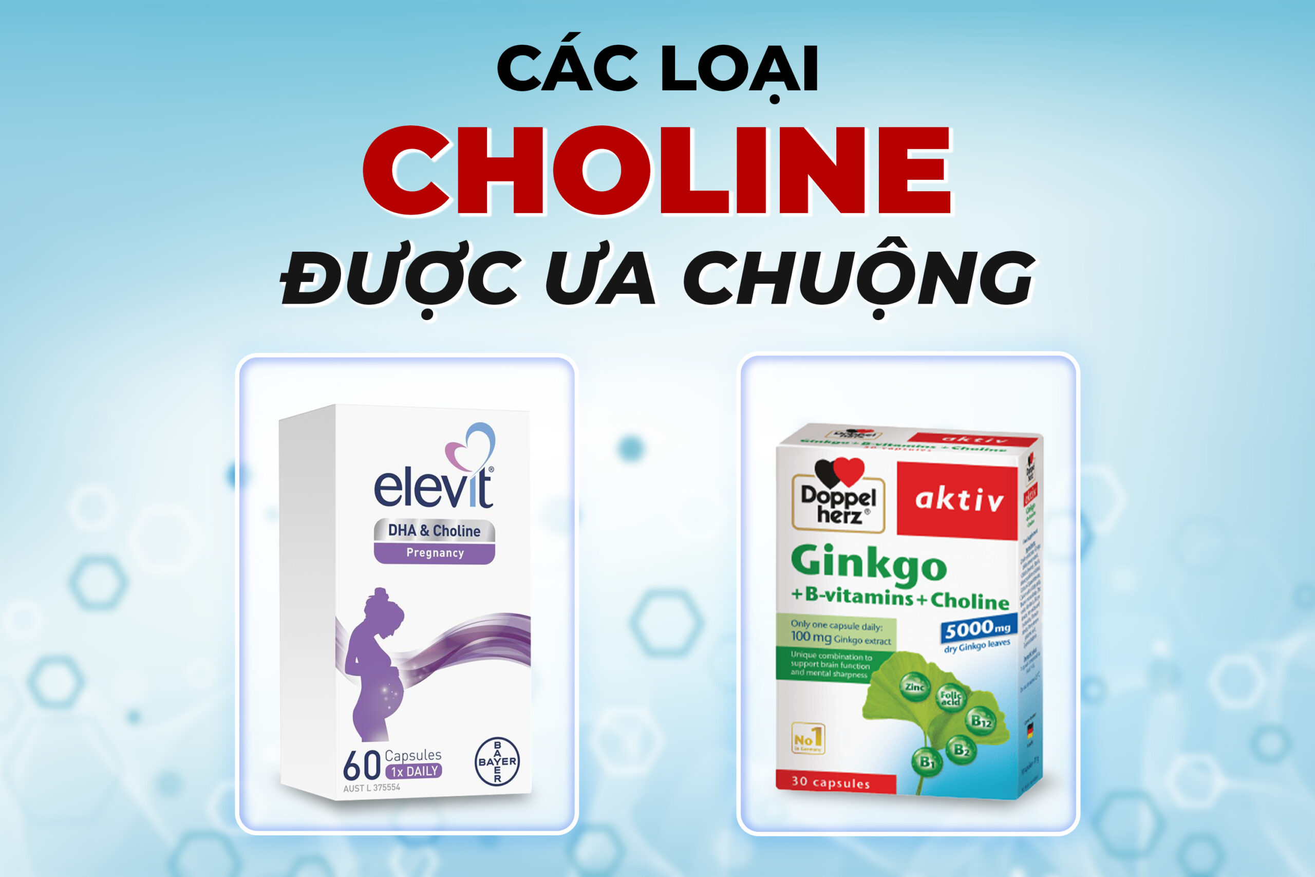 Minh họa các loại choline được ưa chuộng