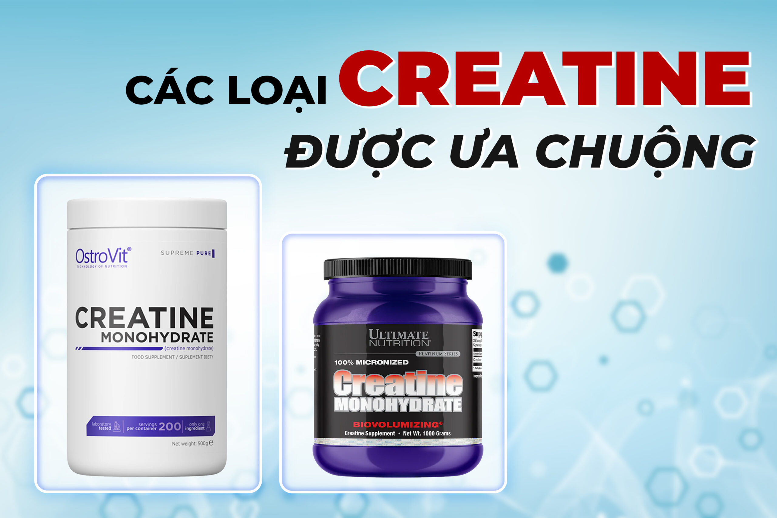 Minh họa các loại creatine được ưa chuộng