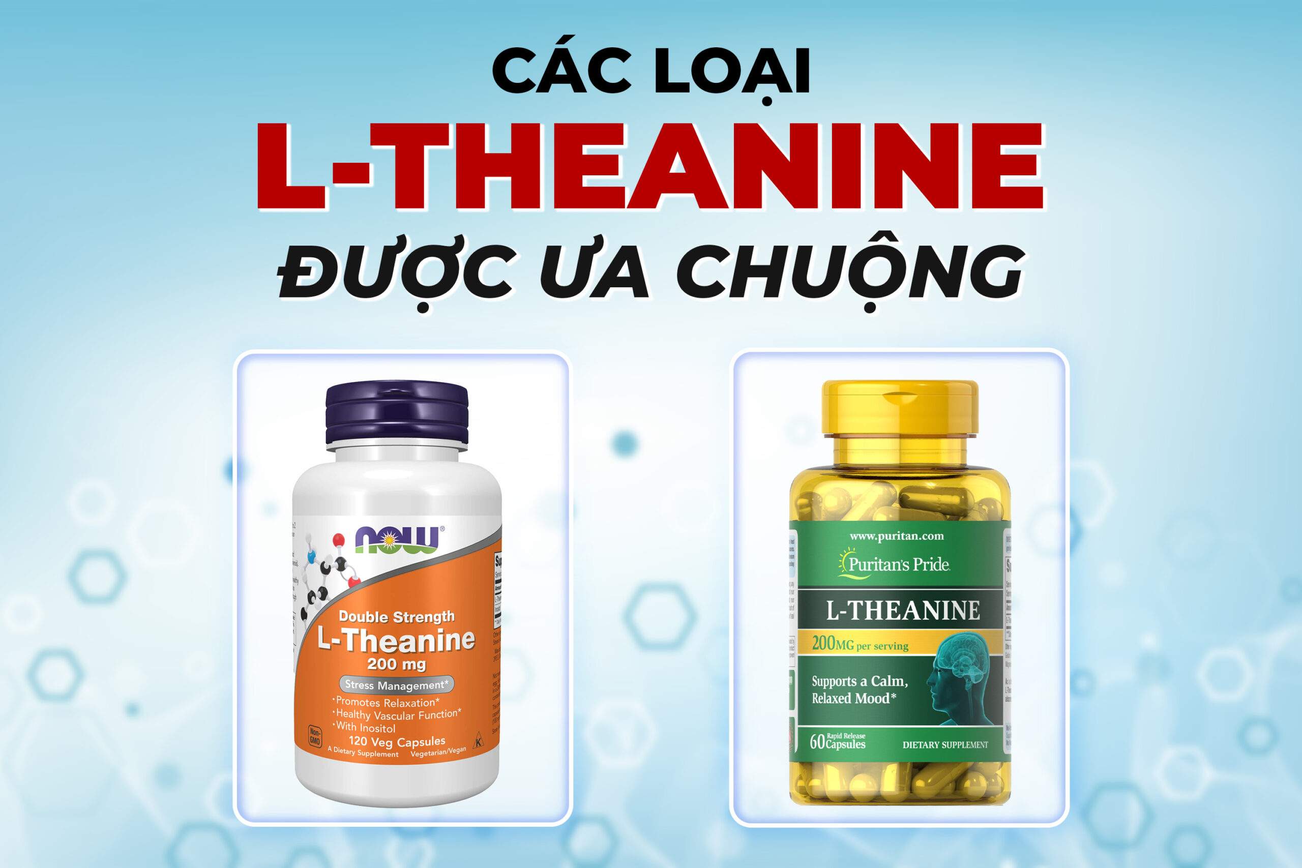 Minh họa các loại L-theanine được ưa chuộng