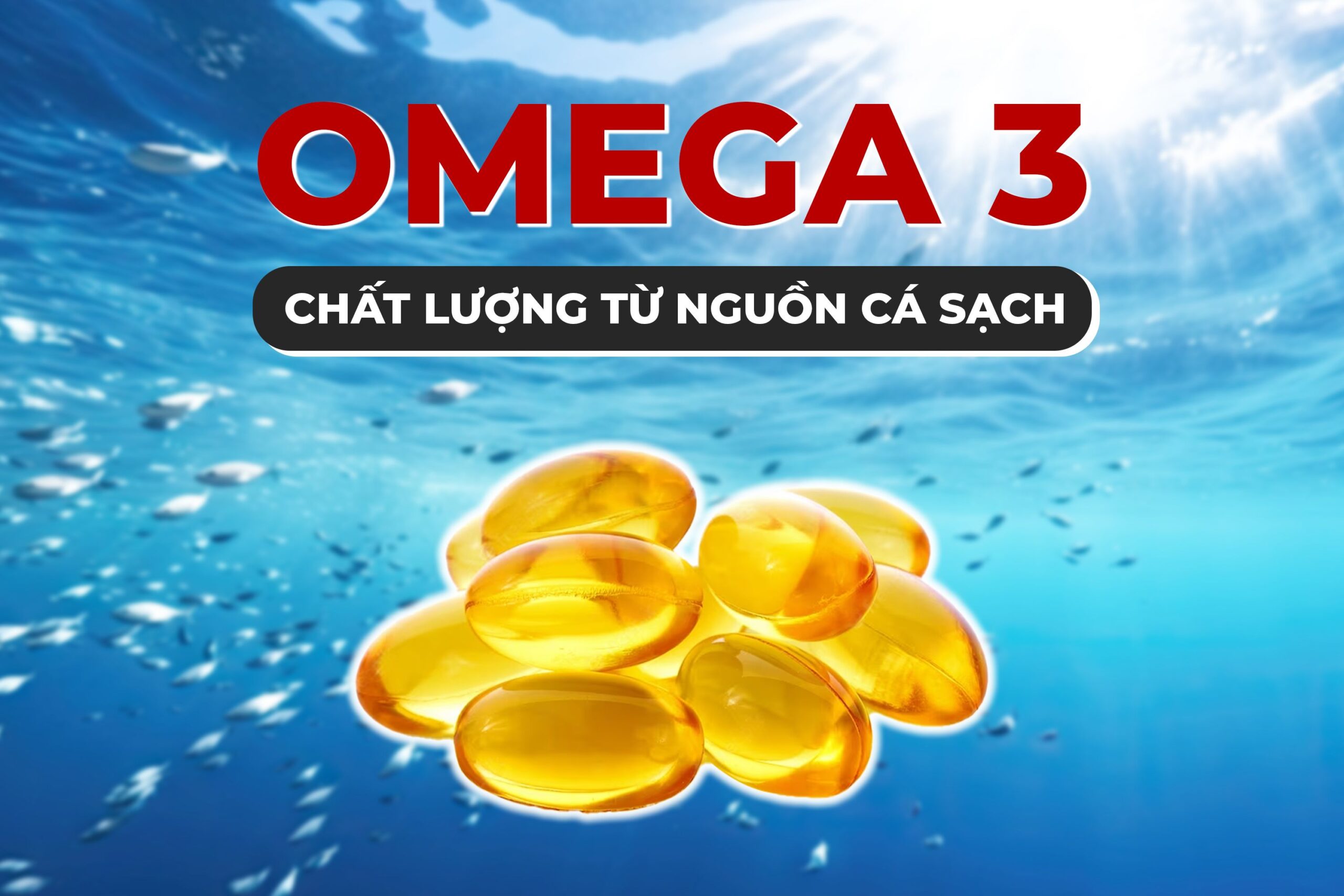 9 Tác Dụng Phụ Của Dầu Cá Phải Biết Khi Sử Dụng 5 Minh họa dầu cá tinh khiết từ nguồn cá sạch
