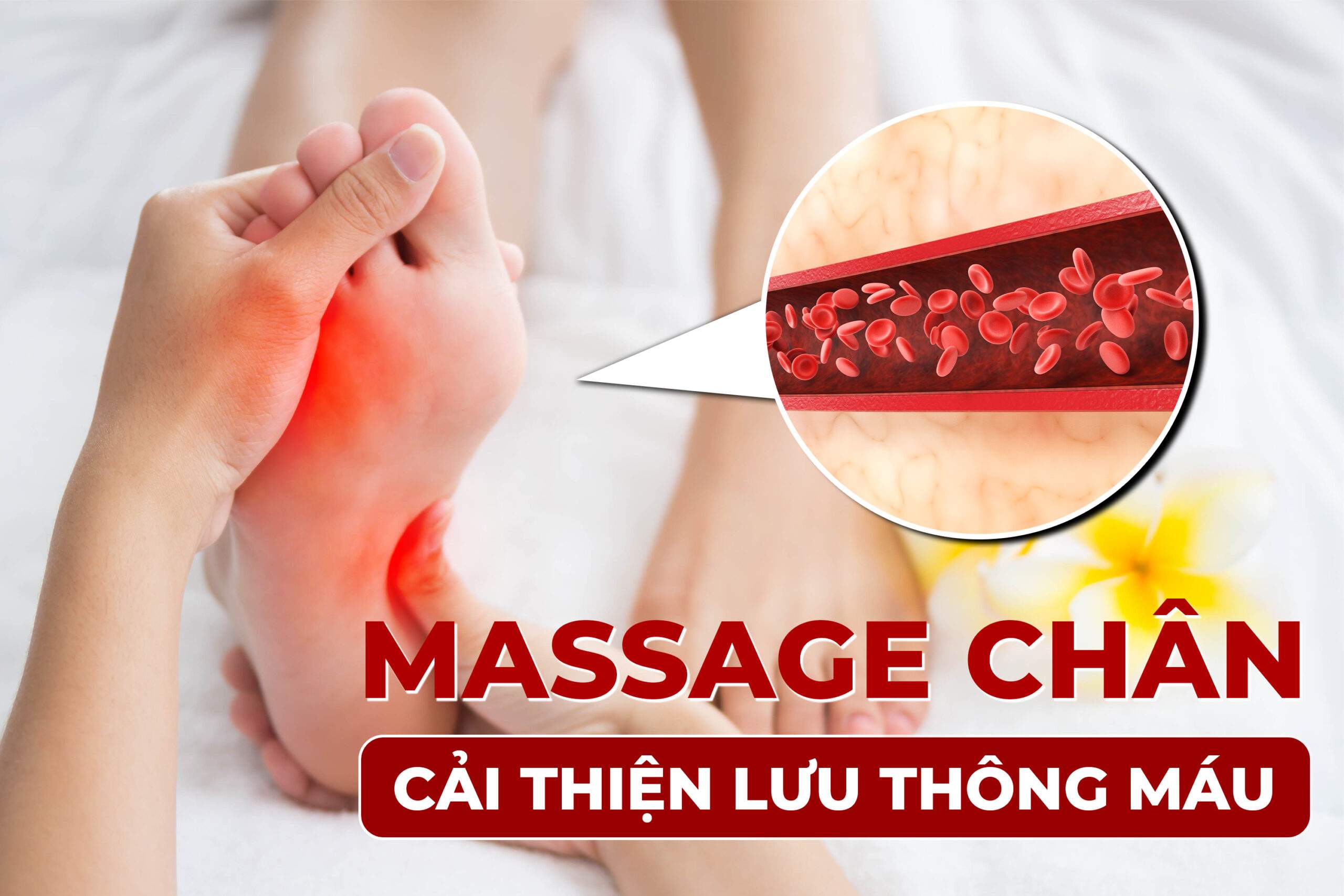 Minh họa massage chân cải thiện lưu thông máu