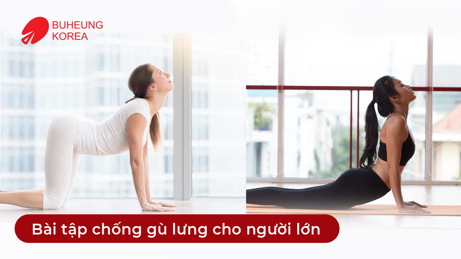 Minh họa bài tập chữa gù lưng cho người lớn