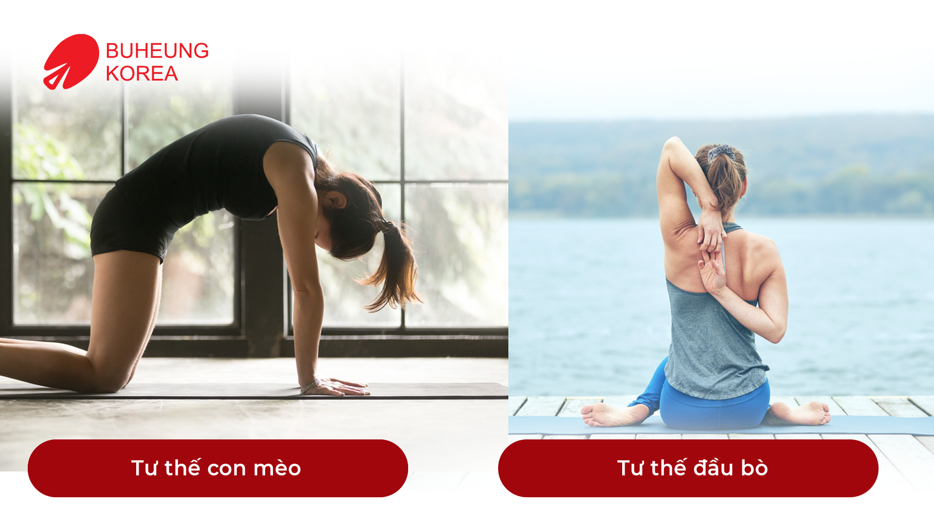 Minh họa bài tập chữa gù lưng ngay tại nhà