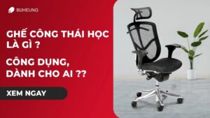Ghế Công Thái Học Là Gì: Công Dụng, Dành Cho Ai 3