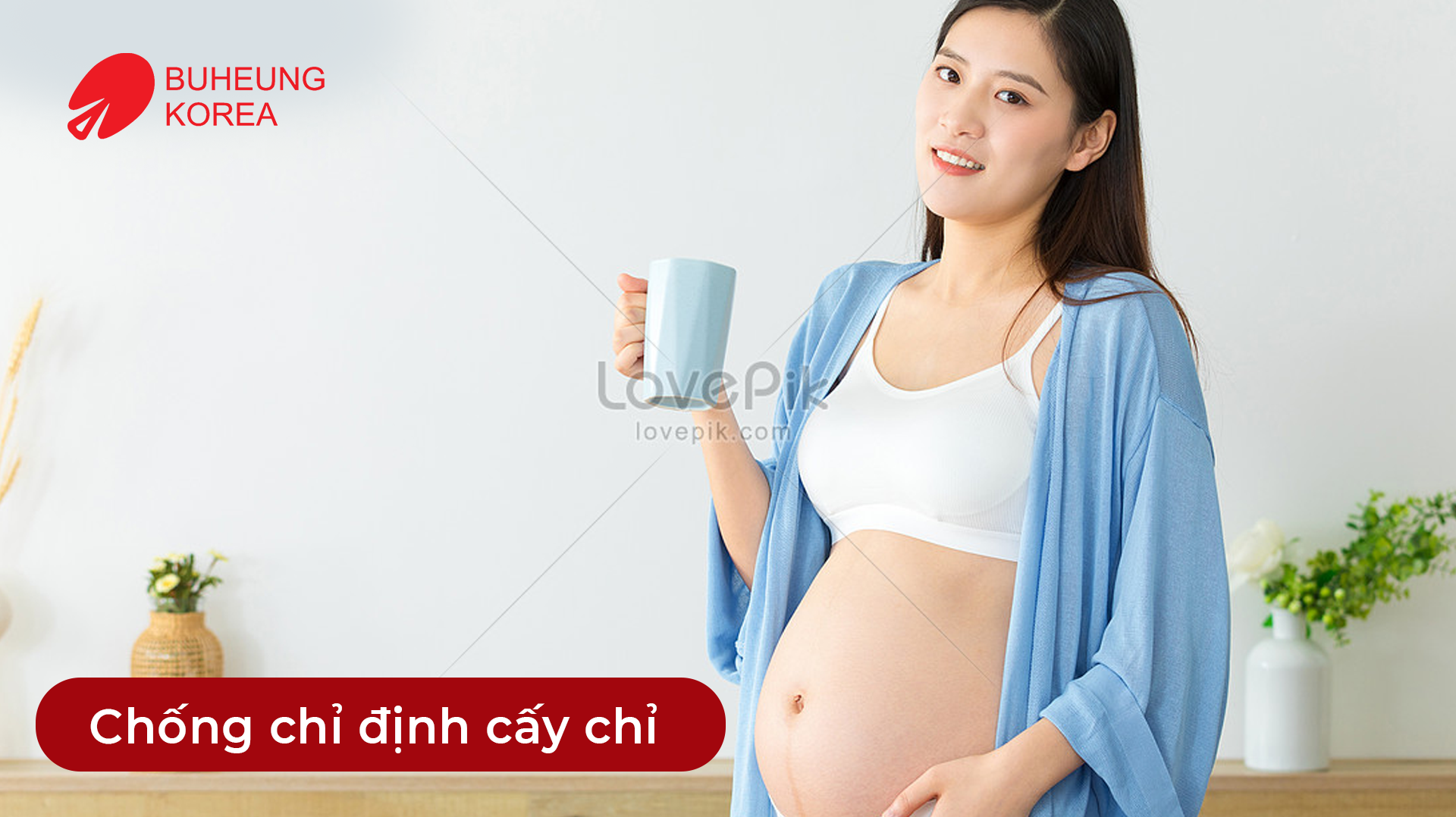 Minh họa chống chỉ định cấy chỉ