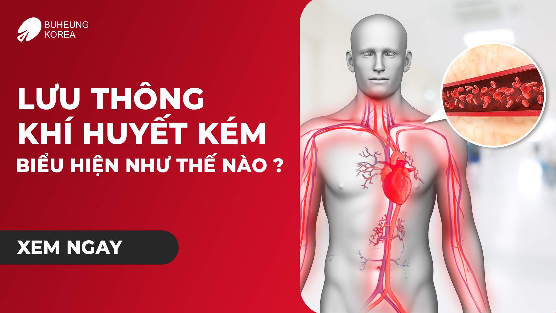 Lưu Thông Khí Huyết Kém Biểu Hiện Như Thế Nào 1 Minh họa biểu hiện lưu thông khí huyết kém