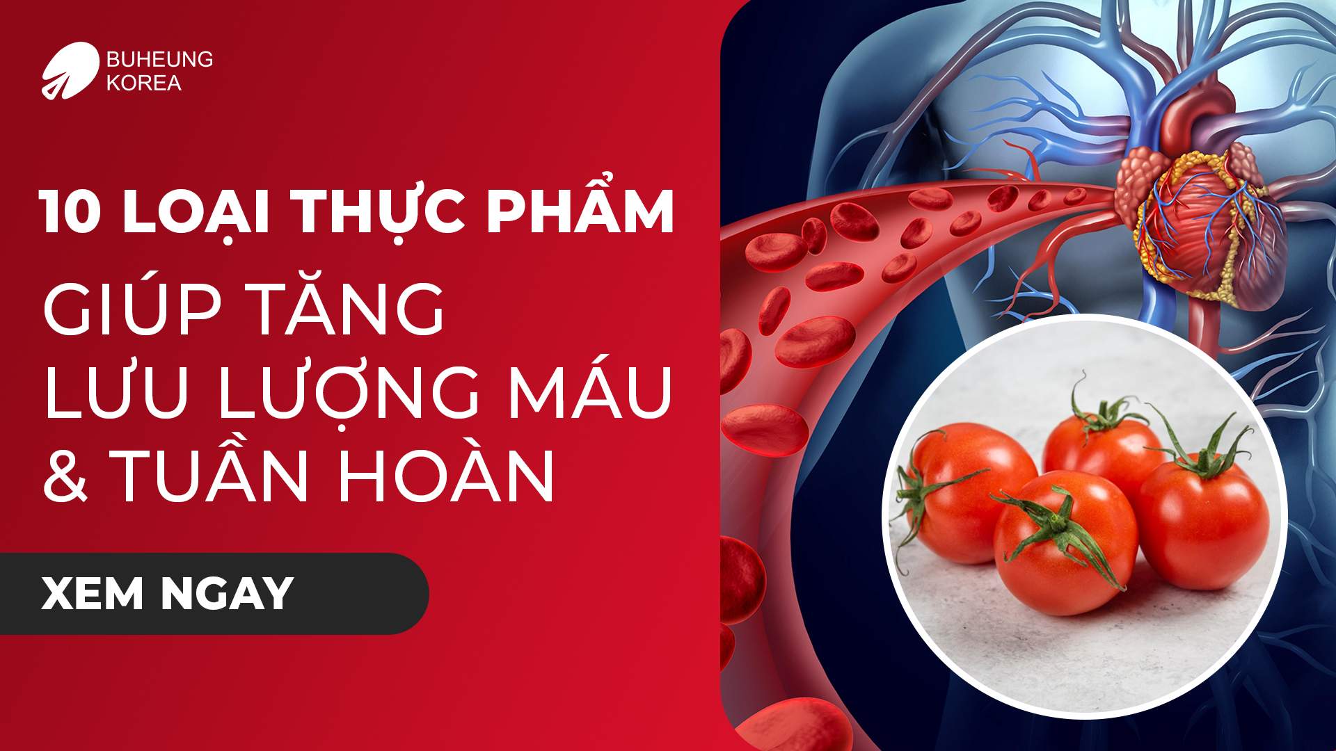 Minh họa 10 thực phẩm tăng lưu thông máu