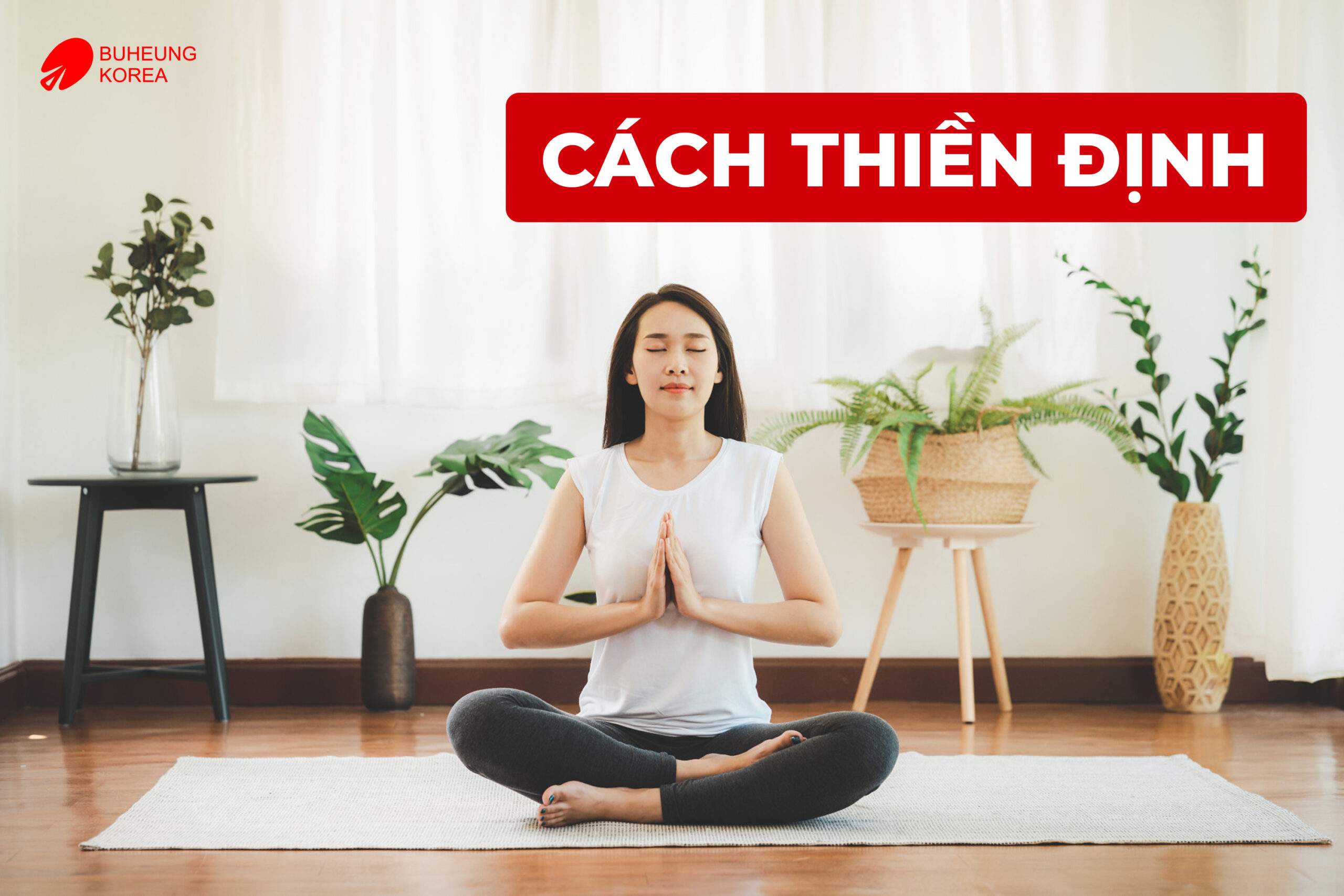 Minh họa cách thực hành thiền