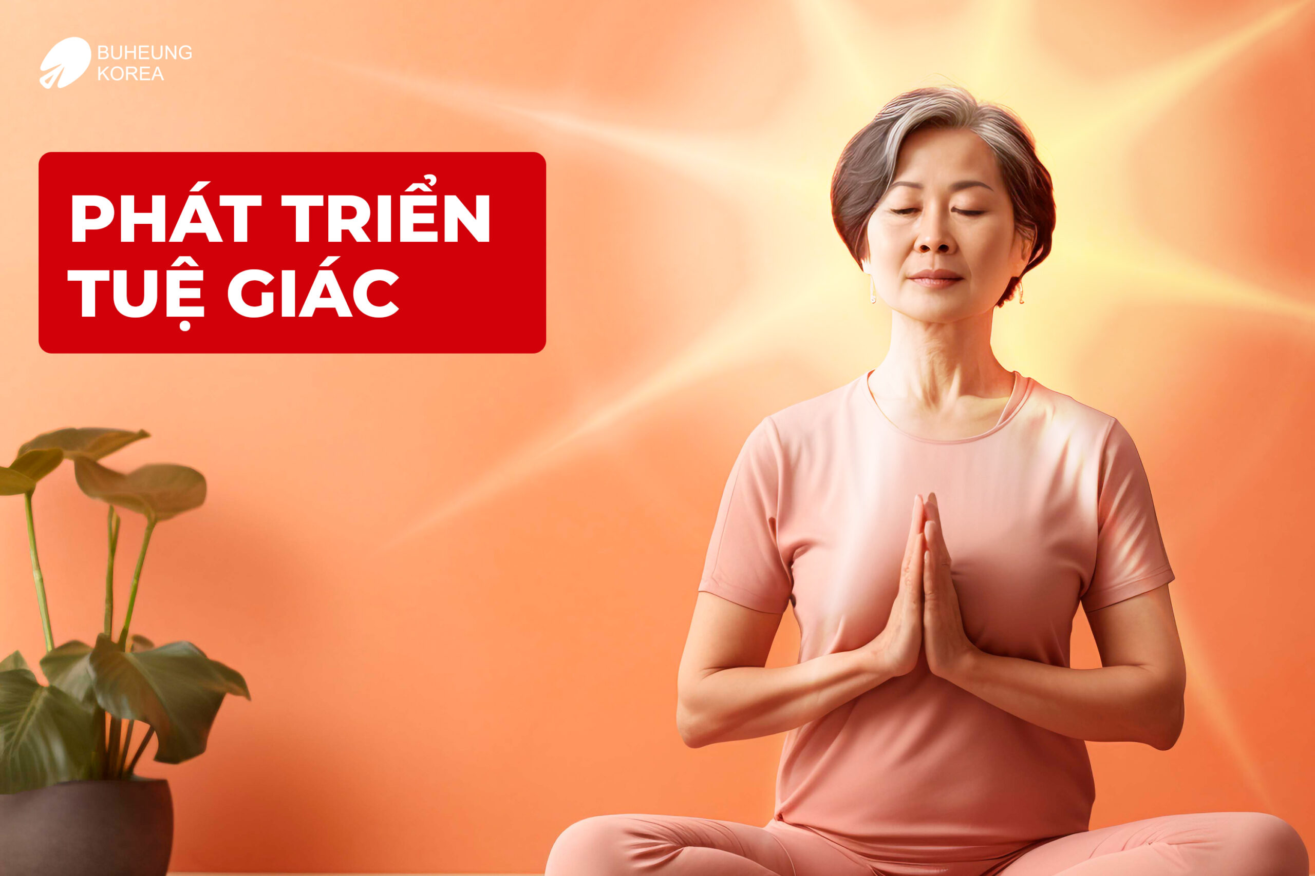 Minh họa phát triển tuệ giác