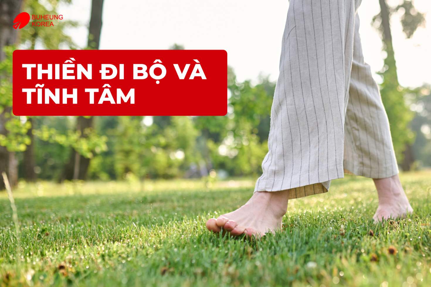 Minh họa thiền đi bộ và tĩnh tâm