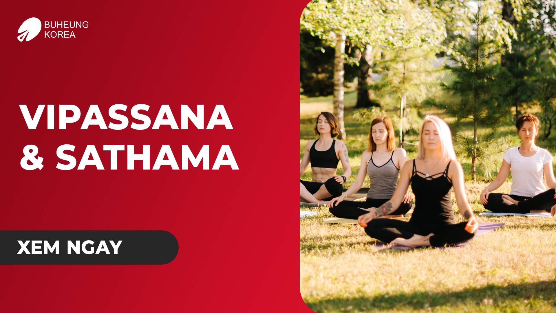 Hiểu Chính Xác Thiền Vipassana Và Sathama, Mục Đích Là Gì? 1 Minh họa thiền vipassana và samatha
