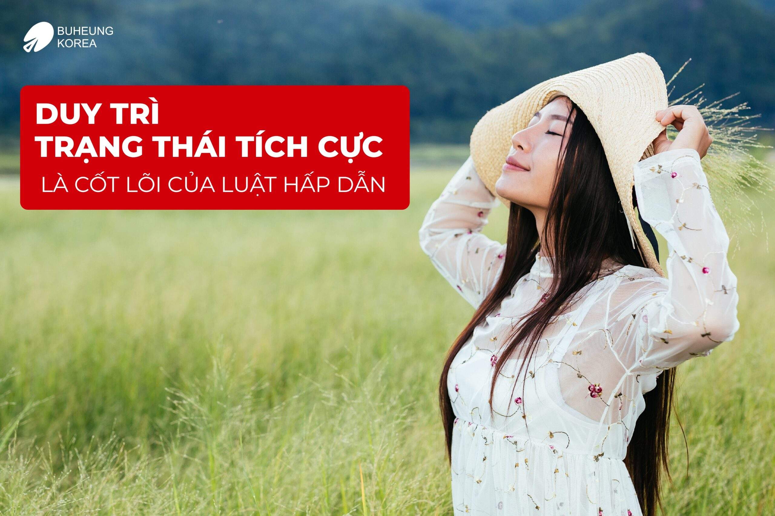 Chi Tiết 5 Bước Thực Hành Luật Hấp Dẫn Có Hiệu Quả 2