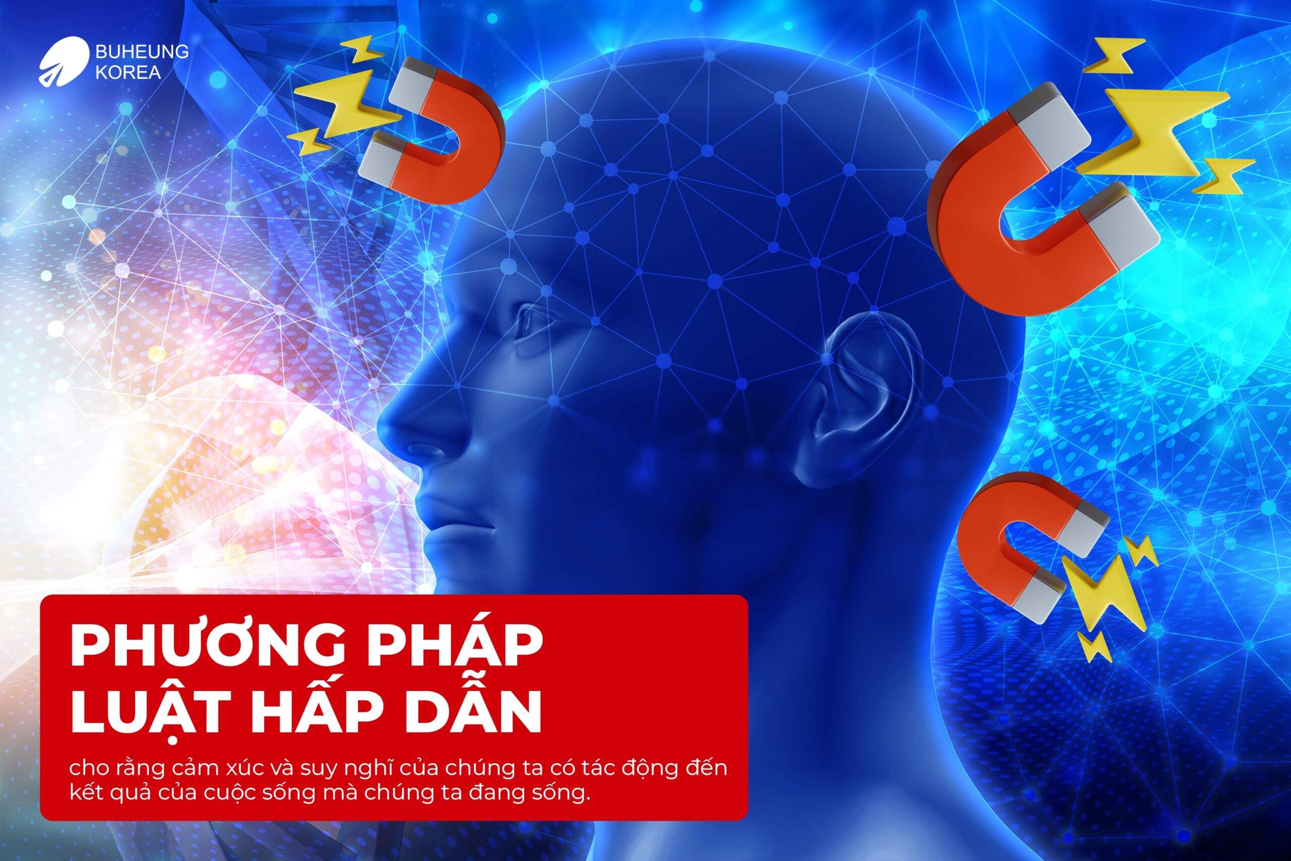 Luật Hấp Dẫn Là Gì? Phương Pháp, Ứng Dụng Của Luật Hấp Dẫn 2