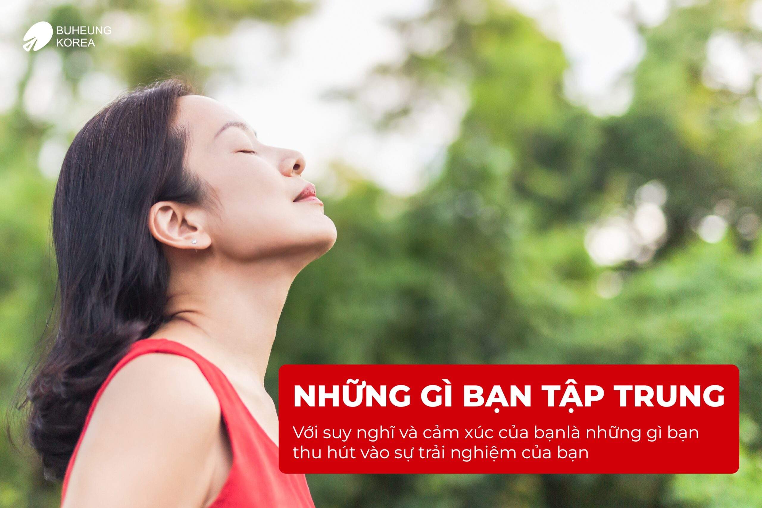 Luật Hấp Dẫn Là Gì? Phương Pháp, Ứng Dụng Của Luật Hấp Dẫn 4