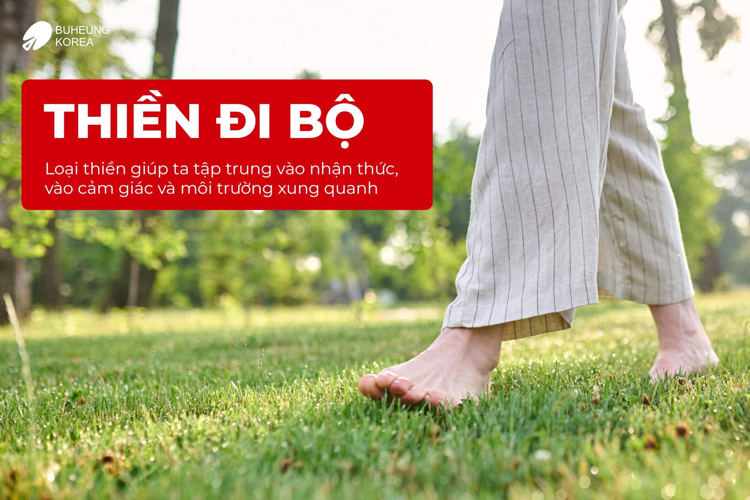 Thiền Chánh Niệm Và Thiền Định: Phân Biệt bản Chất & Cách Thực Hành 3