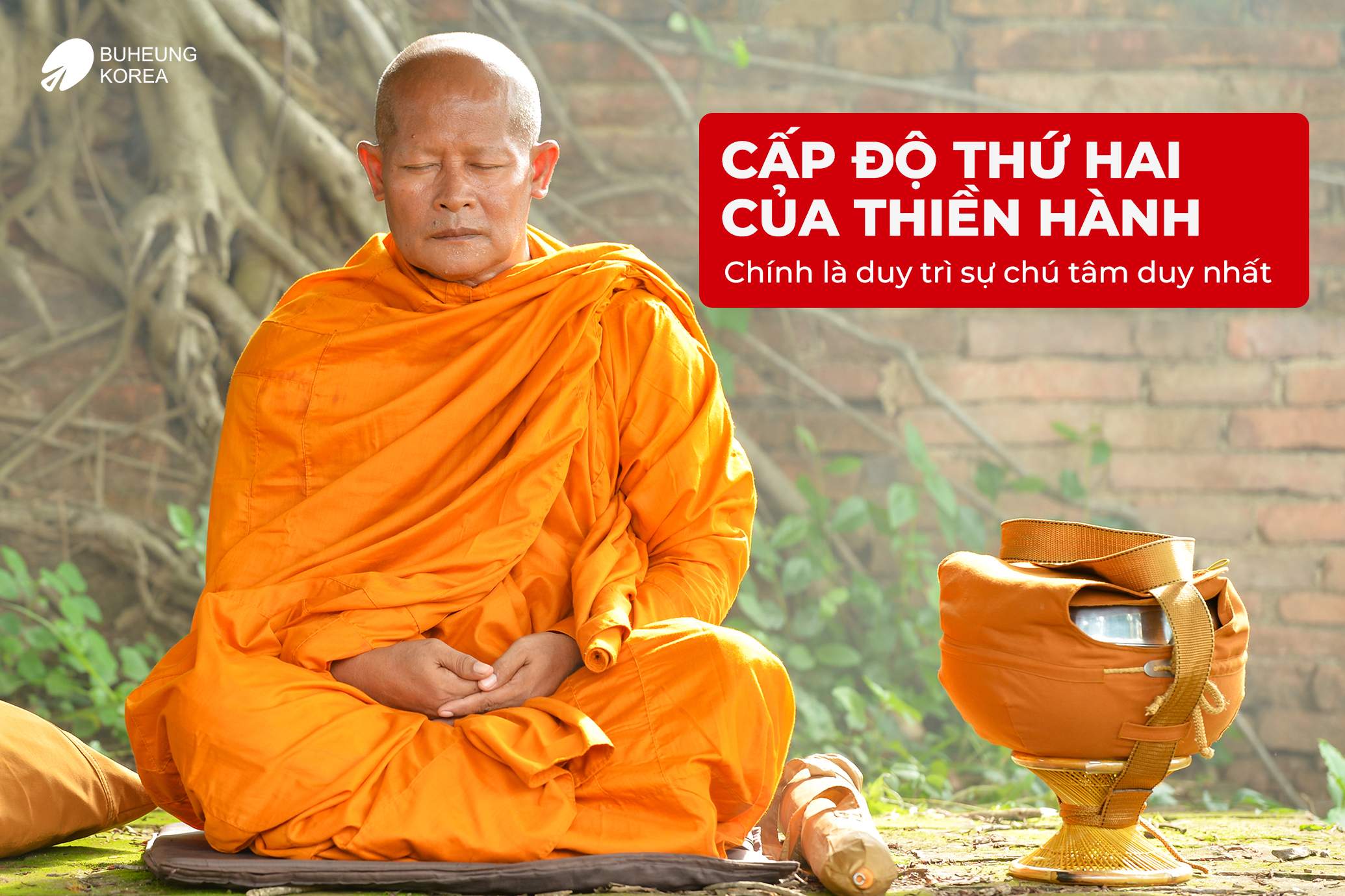 Hiểu Sâu Về Thiền Hành Và Cách Rèn Luyện Chú Tâm Bằng Thiền Hành 5