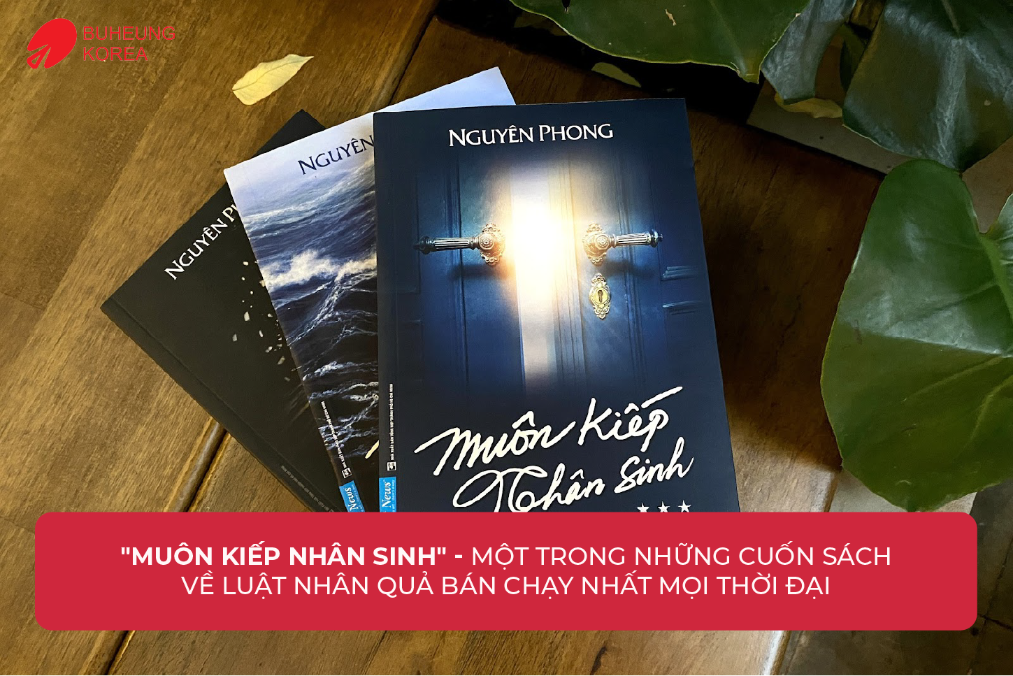 Review 9 Cuốn Sách Luật Hấp Dẫn Hay Nhất 4 Review 9 Cuốn Sách Luật Hấp Dẫn Hay Nhất 3