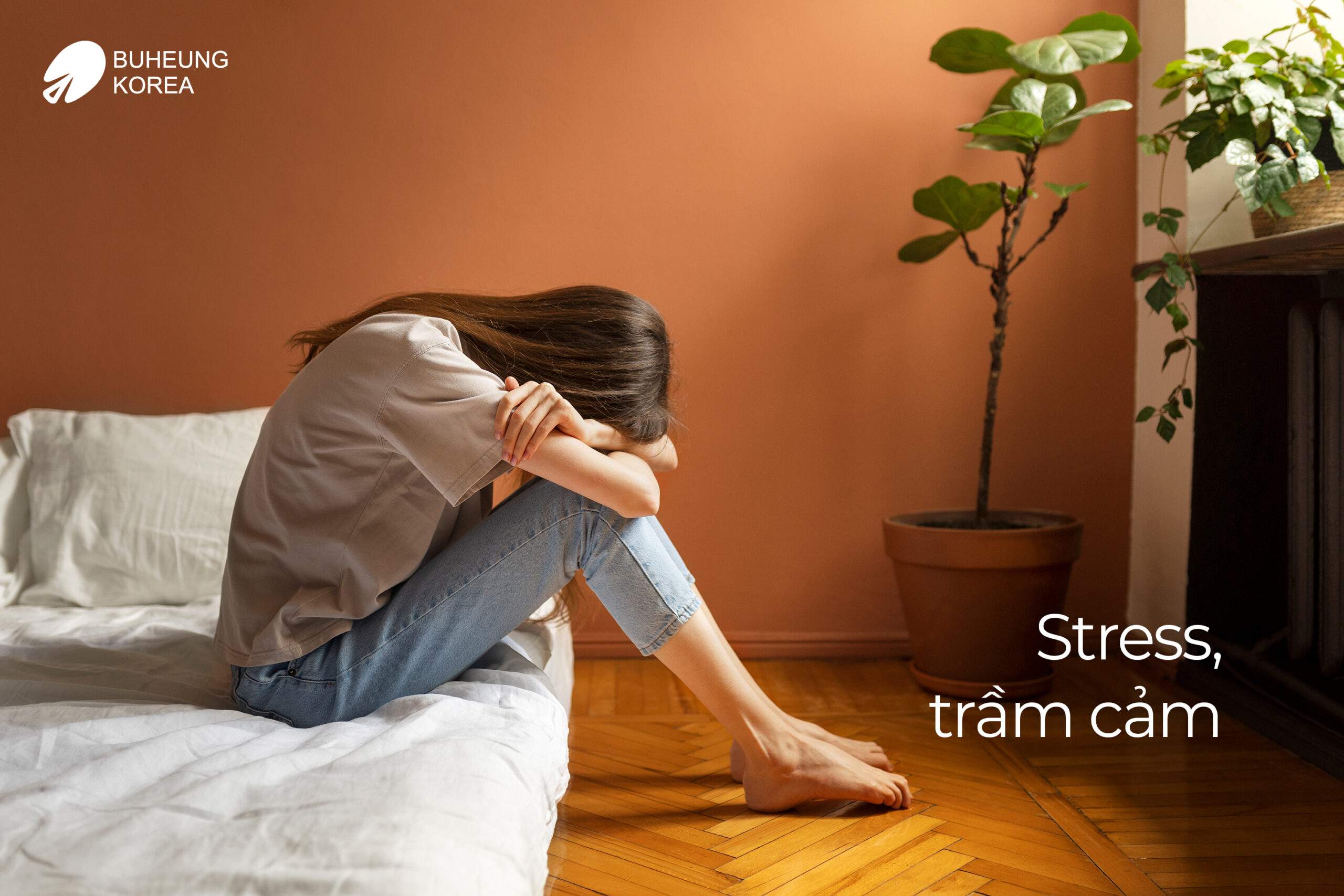 Stress, trầm cảm 