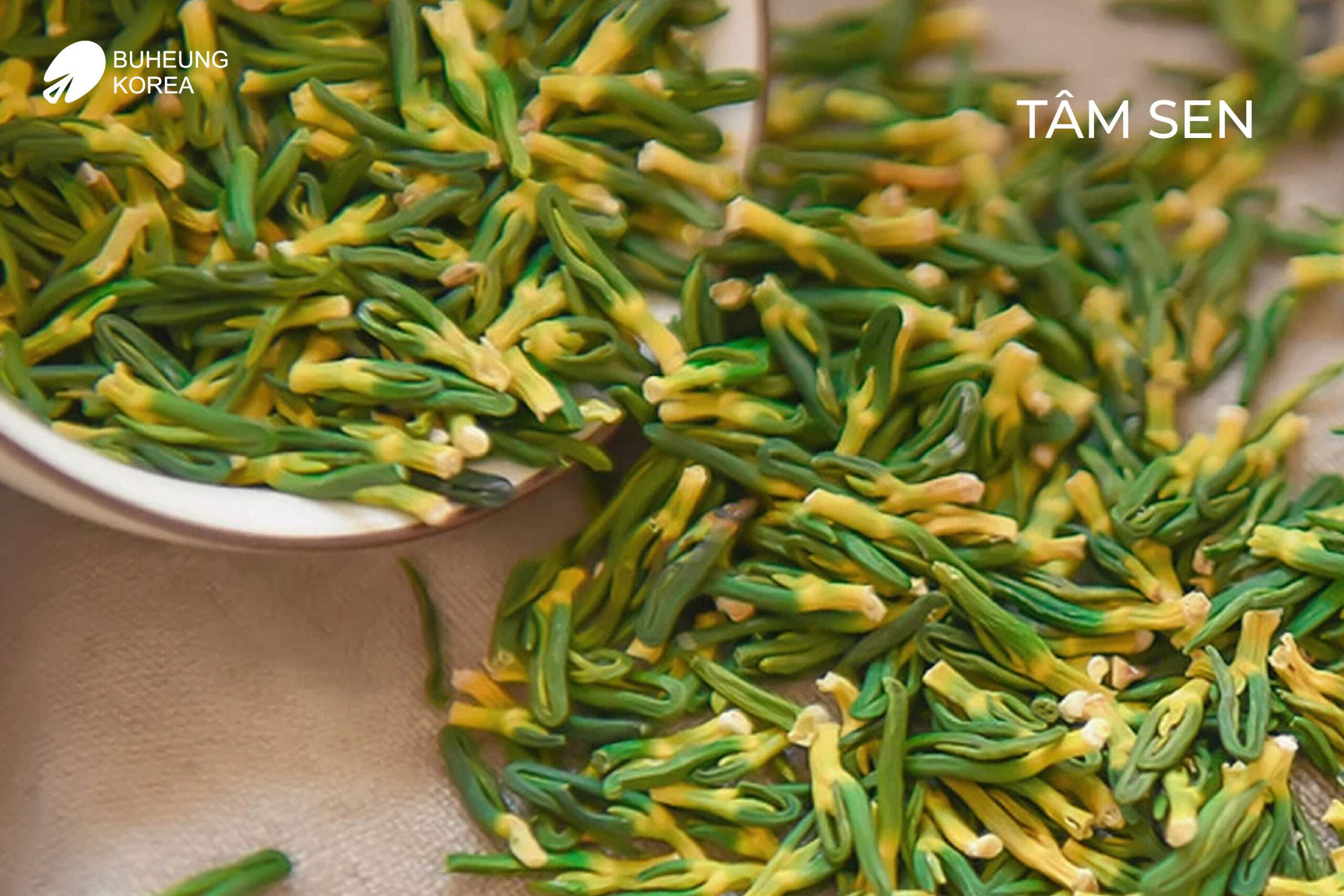 11 Thảo Dược Trị Mất Ngủ Nổi Tiếng Trong Dân Gian 5
