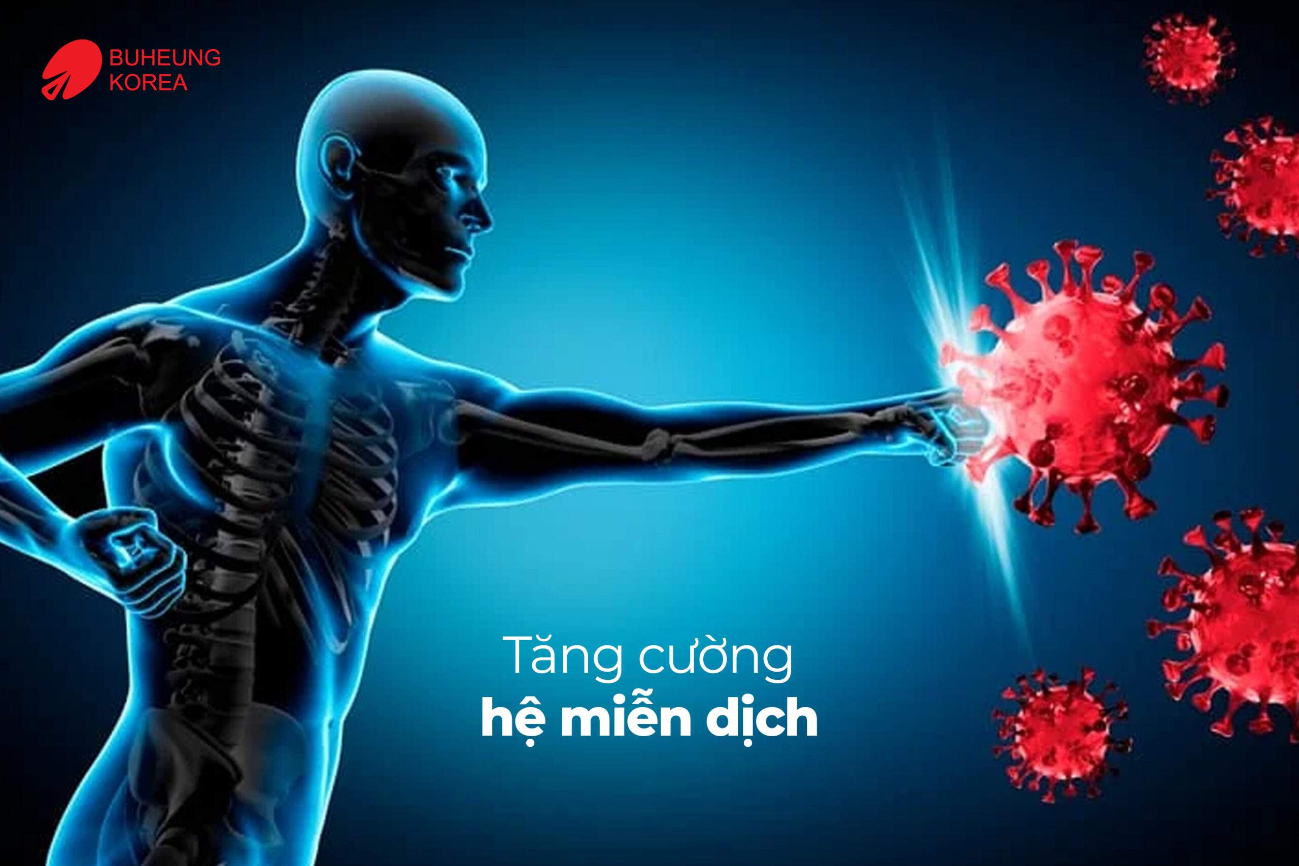 Khó Ngủ, Không Sâu Giấc: Nguyên Nhân & Cách Cải Thiện 2 Tăng cường hệ miễn dịch