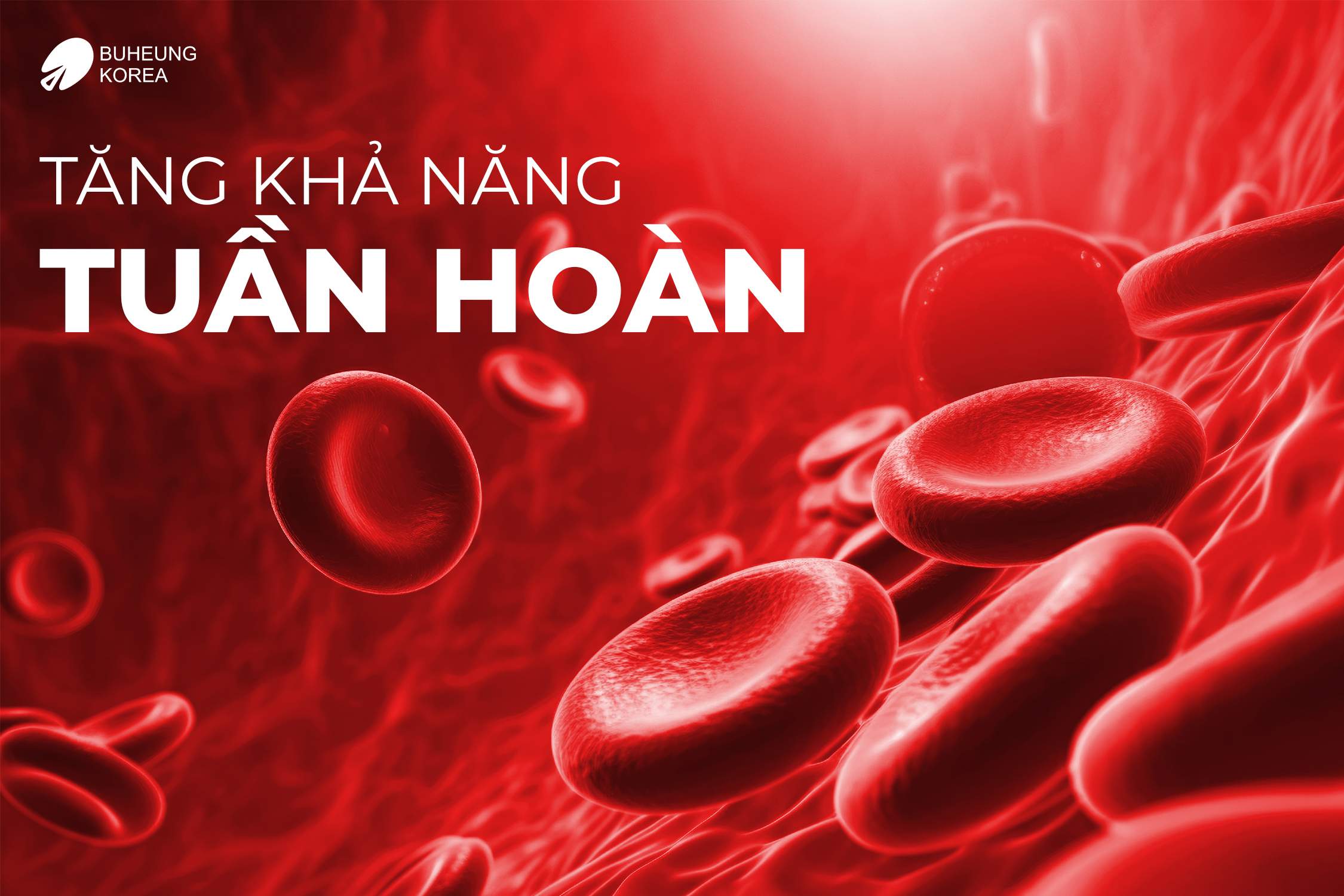 Giãn Tĩnh Mạch Chân Có Nên Đi Bộ Không? 2 Giãn Tĩnh Mạch Chân Có Nên Đi Bộ Không? 2