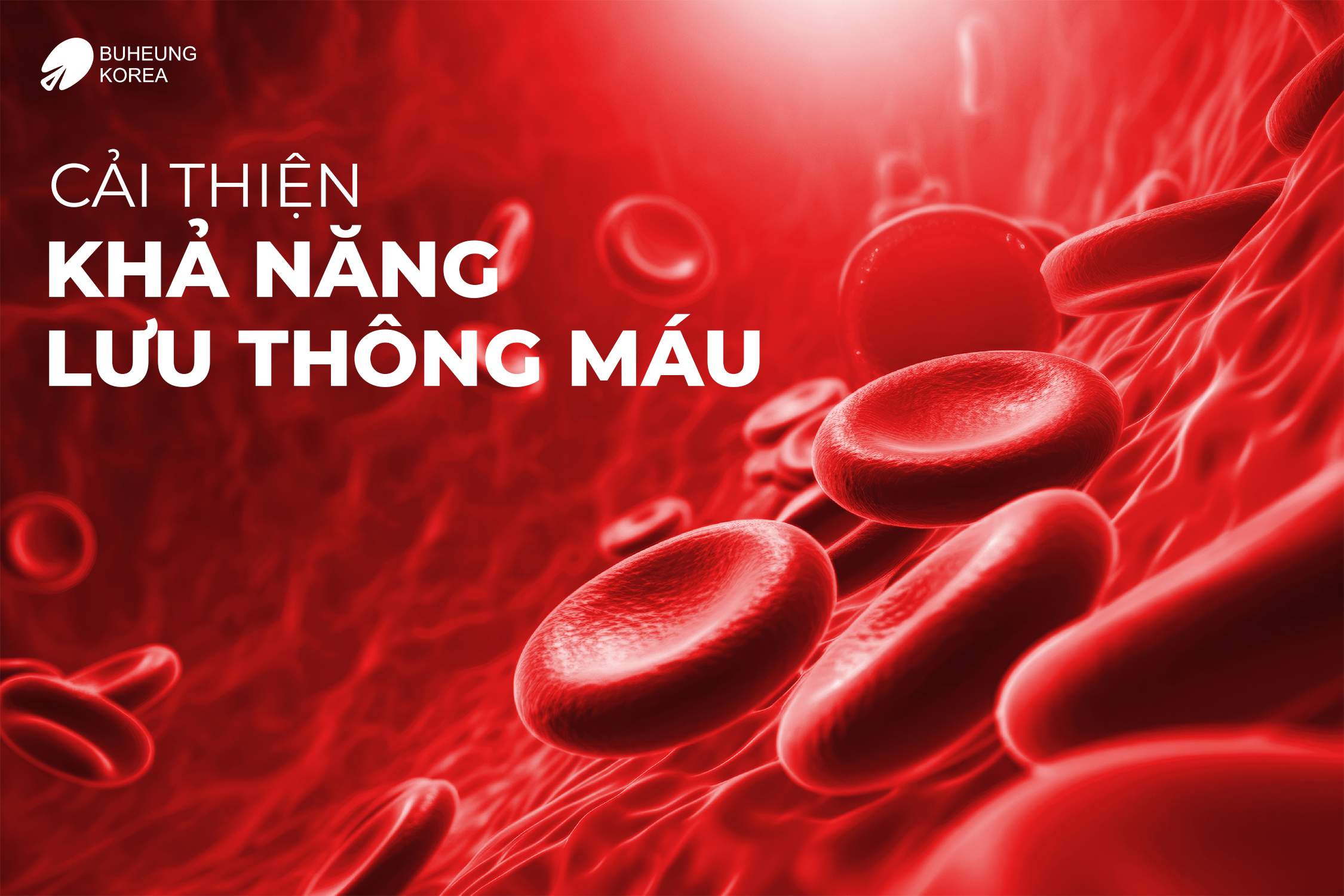Hướng Dẫn Ngâm Chân Trị Suy Giãn Tĩnh Mạch Hiệu Quả 4