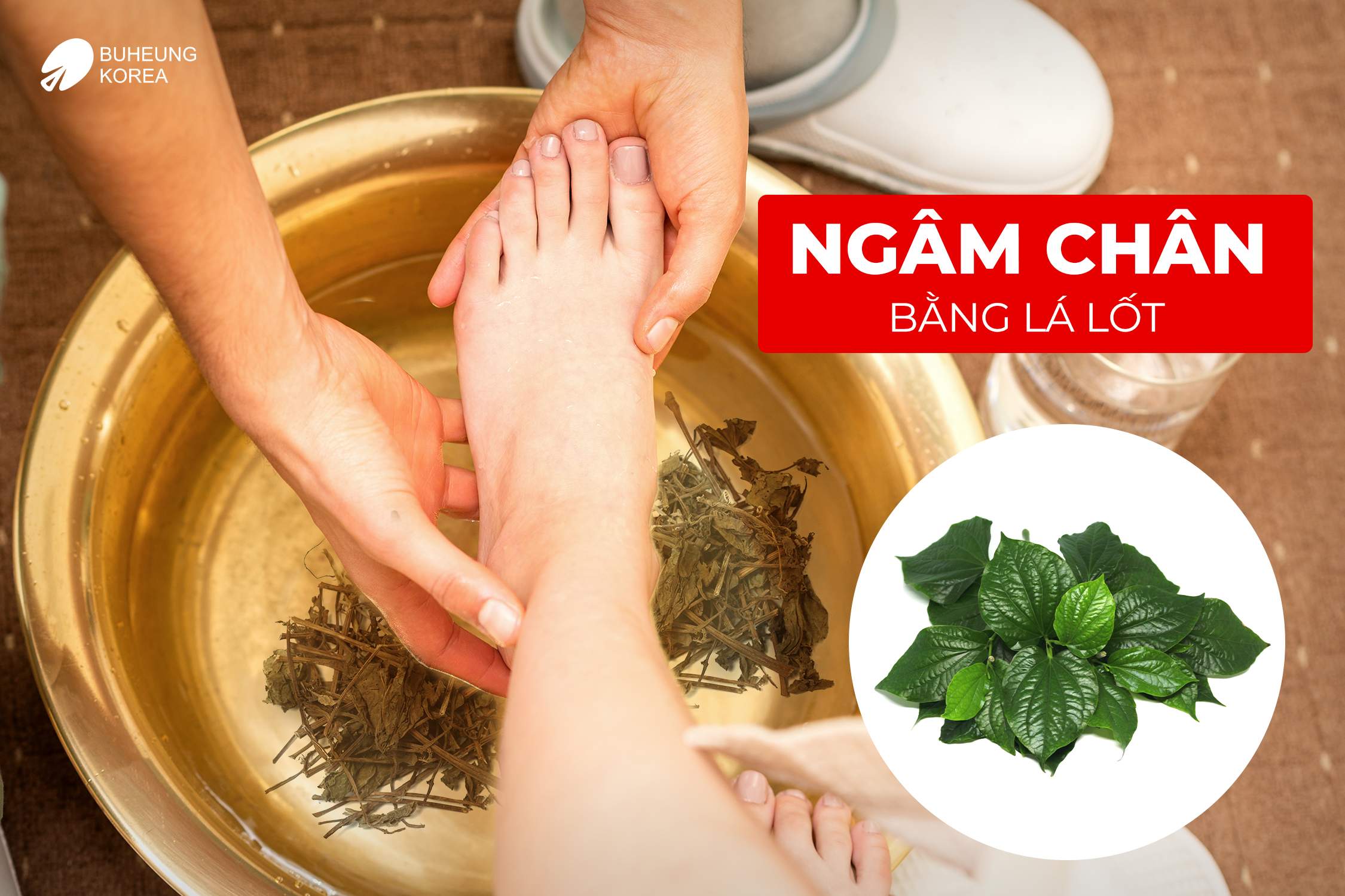 Hướng Dẫn Ngâm Chân Trị Suy Giãn Tĩnh Mạch Hiệu Quả 7