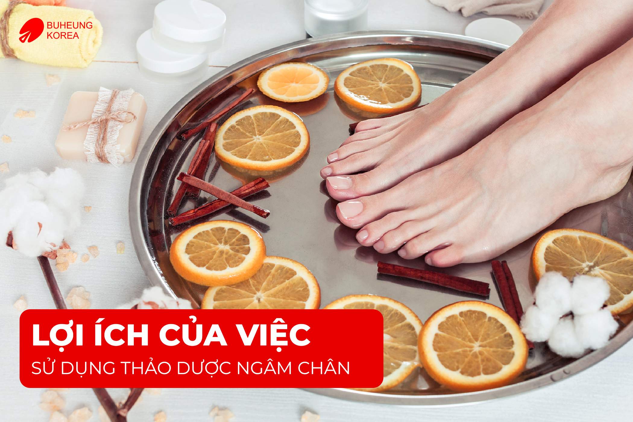 Top 5 Thảo Dược Ngâm Chân Trị Suy Giãn Tĩnh Mạch 1