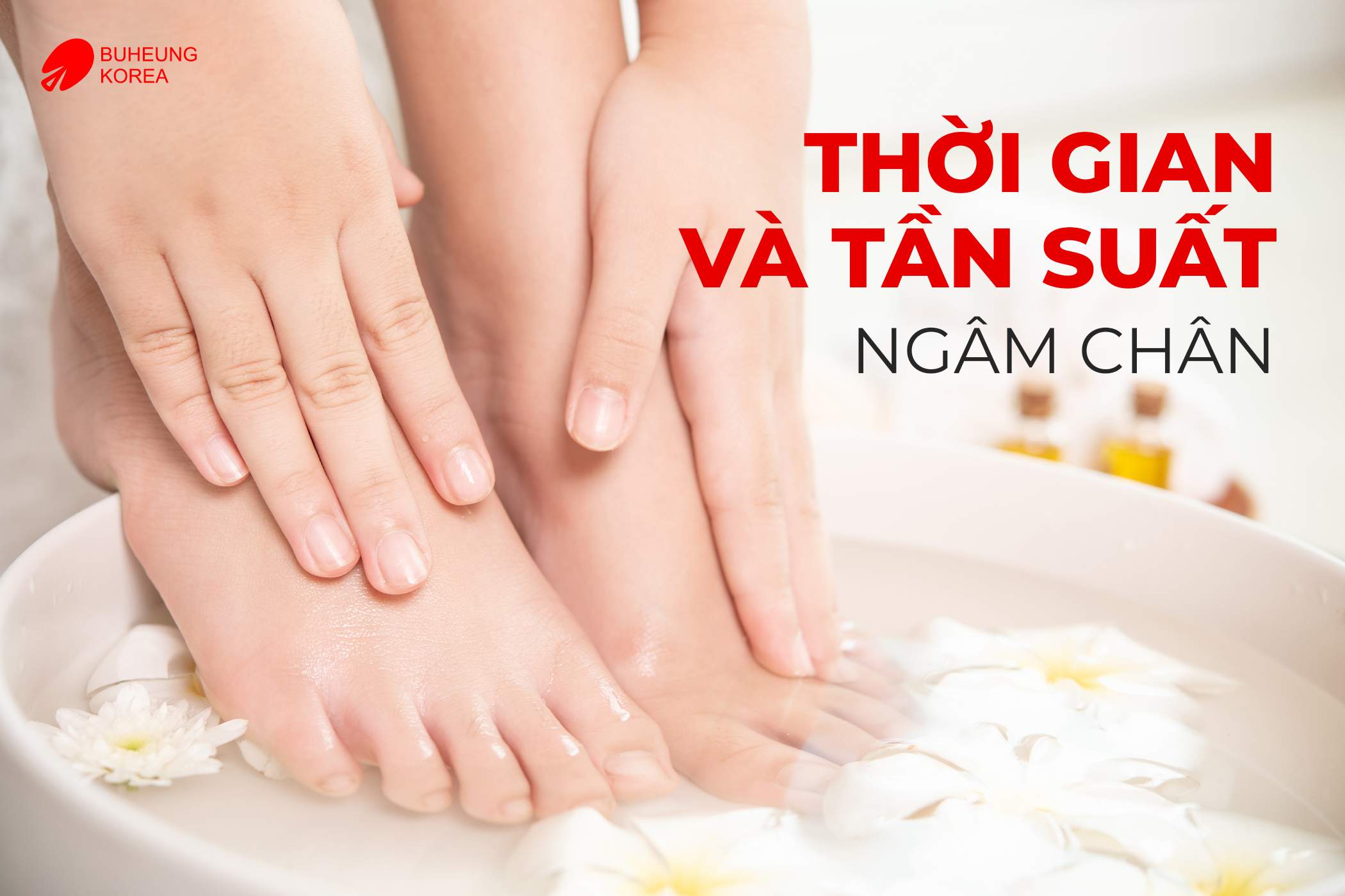 Top 5 Thảo Dược Ngâm Chân Trị Suy Giãn Tĩnh Mạch 6