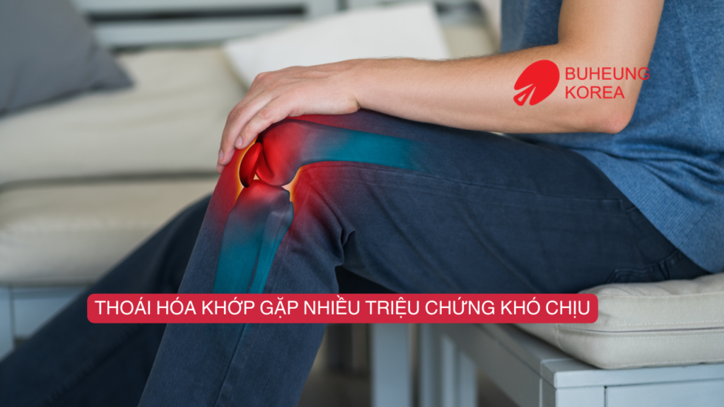 Thoái Hóa Khớp Sử Dụng Ghế Massage Trị Liệu Có Tốt Không? 2