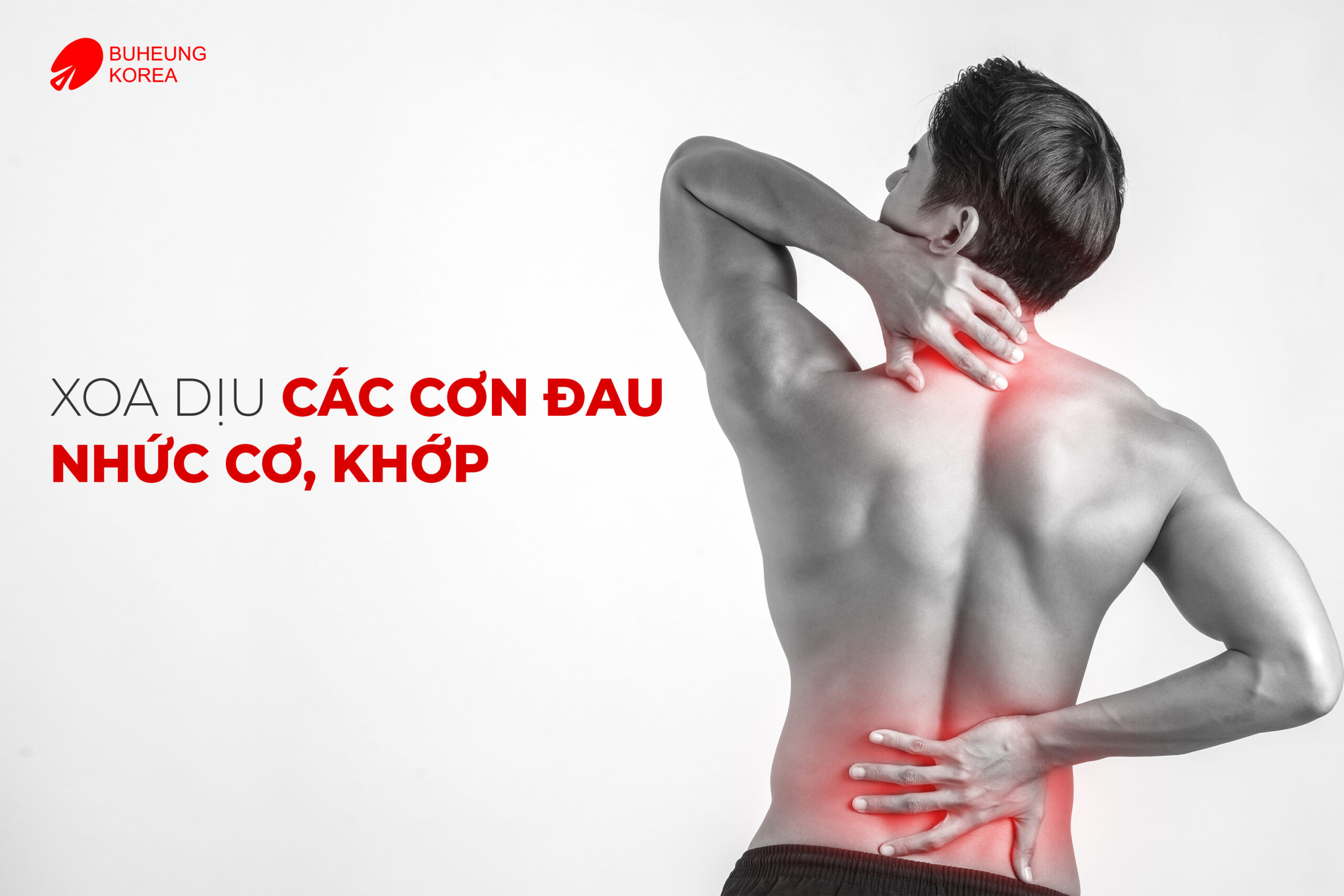 5 Lý Do Bạn Nên Sở Hữu Máy Massage Cá Nhân 4