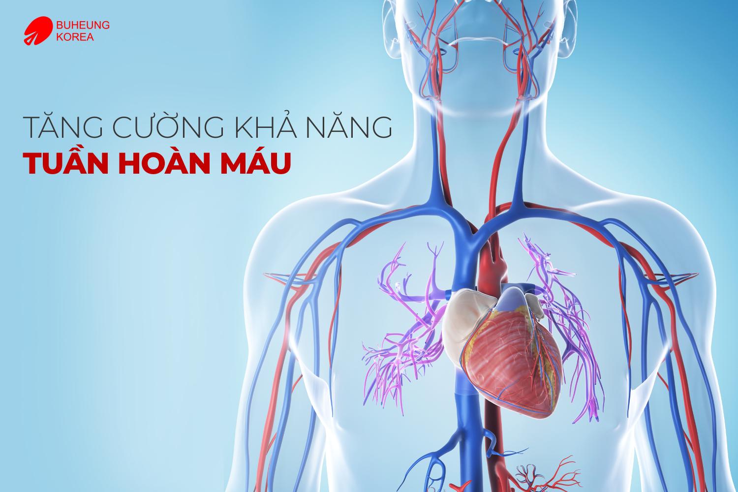 5 Nghiên Cứu Thực Tế Cho Thấy Lợi Ích Thật Sự Của Máy Massage Cầm Tay 4 5 Nghiên Cứu Thực Tế Cho Thấy Lợi Ích Thật Sự Của Máy Massage Cầm Tay 4