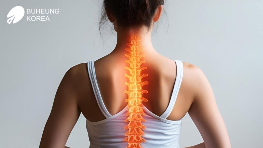 Ngồi sai tư thế khi làm việc: Hậu quả nghiêm trọng với cột sống và cách điều chỉnh dứt điểm cho dân văn phòng 3