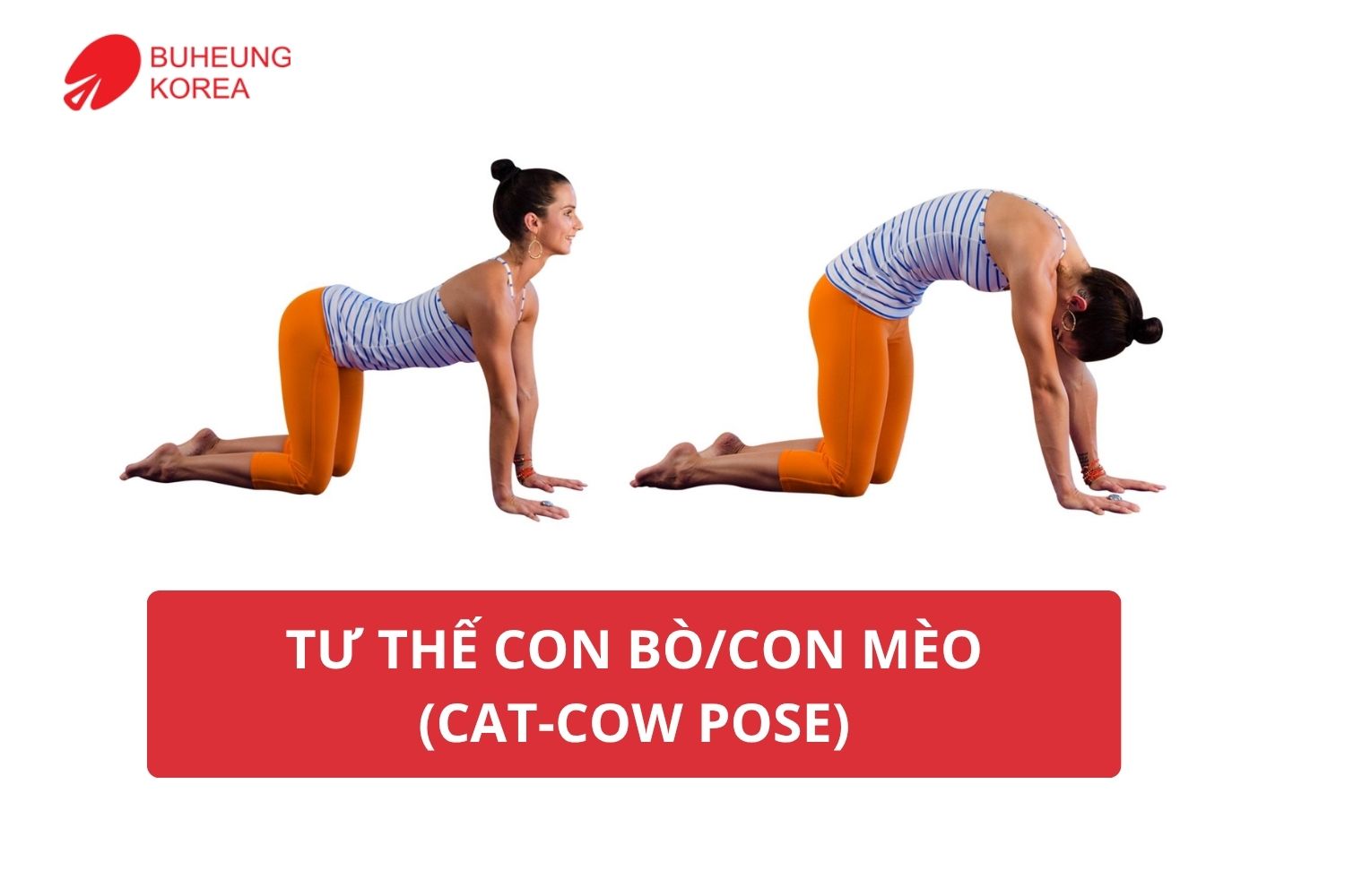 Bài Tập Trị Liệu Giảm Đau Lưng Tại Nhà, Hiệu Quả Khi Kết Hợp Massage Nhiệt 2