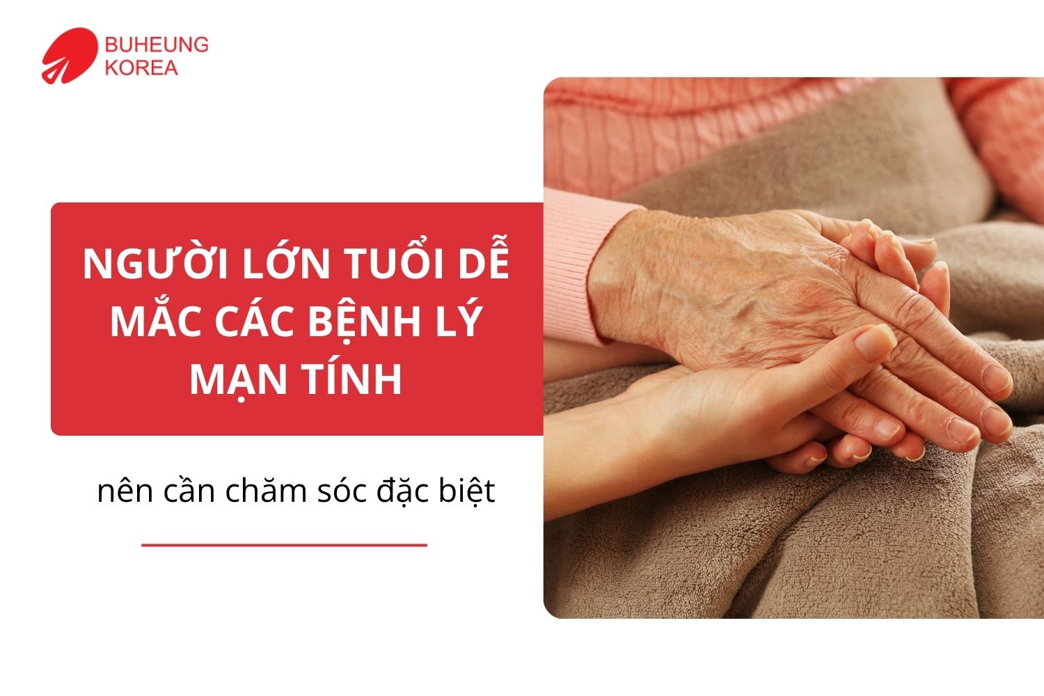 Người Lớn Tuổi Cần Chăm Sóc Sức Khỏe Ra Sao Khi Ở Nhà? 2 Người Lớn Tuổi Cần Chăm Sóc Sức Khỏe Ra Sao Khi Ở Nhà? 1