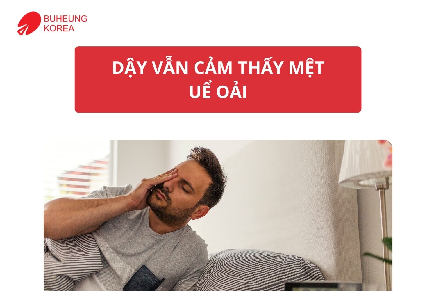 Giấc Ngủ Chất Lượng Quyết Định Sức Khỏe Bạn Đã Ngủ Đúng Cách Chưa? 2