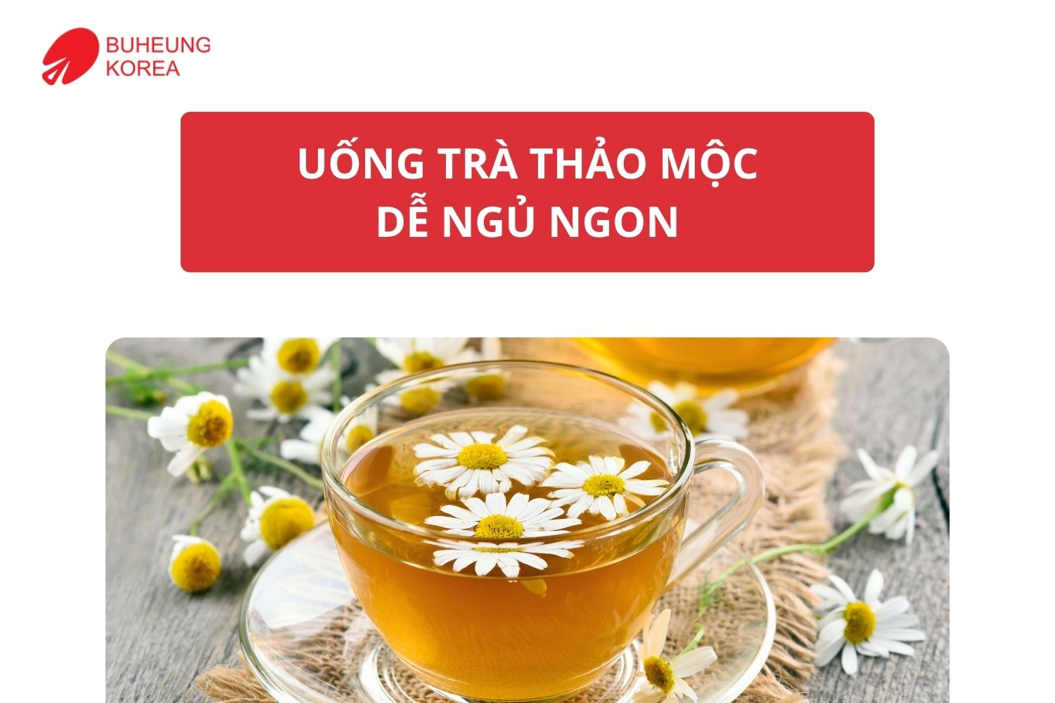 Giấc Ngủ Chất Lượng Quyết Định Sức Khỏe Bạn Đã Ngủ Đúng Cách Chưa? 3
