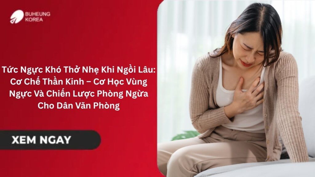 Tức Ngực Khó Thở Nhẹ Khi Ngồi Lâu: Cơ Chế Thần Kinh – Cơ Học Vùng Ngực Và Chiến Lược Phòng Ngừa Cho Dân Văn Phòng