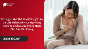 Tức Ngực Khó Thở Nhẹ Khi Ngồi Lâu: Cơ Chế Thần Kinh – Cơ Học Vùng Ngực Và Chiến Lược Phòng Ngừa Cho Dân Văn Phòng 3