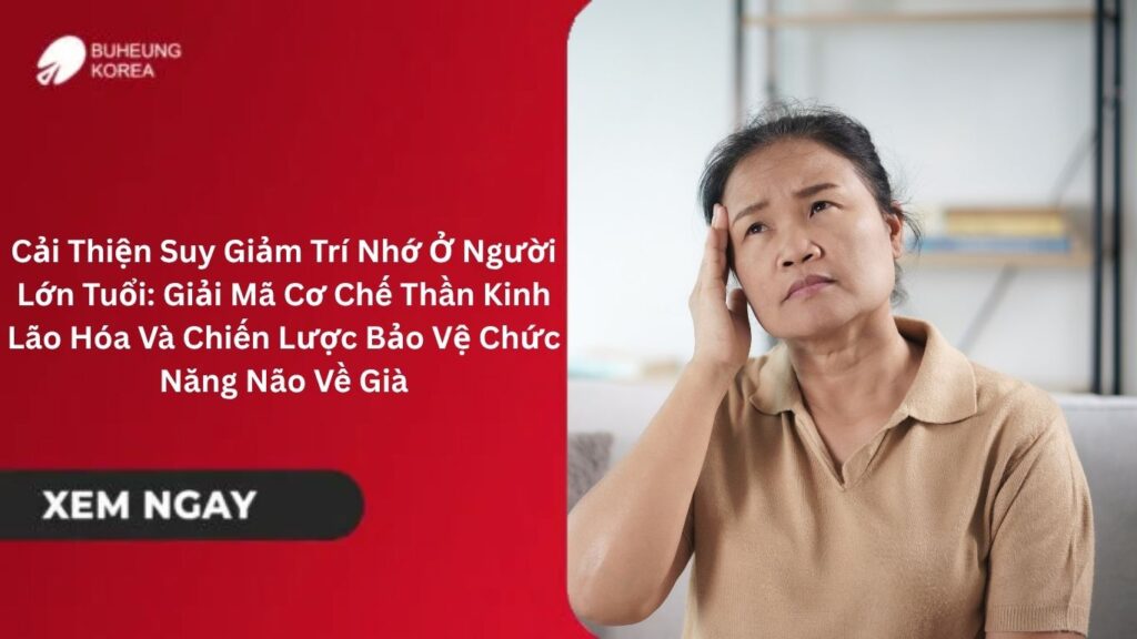 Cải Thiện Suy Giảm Trí Nhớ Ở Người Lớn Tuổi: Giải Mã Cơ Chế Thần Kinh Lão Hóa Và Chiến Lược Bảo Vệ Chức Năng Não Về Già 1 Cải Thiện Suy Giảm Trí Nhớ Ở Người Lớn Tuổi: Giải Mã Cơ Chế Thần Kinh Lão Hóa Và Chiến Lược Bảo Vệ Chức Năng Não Về Già
