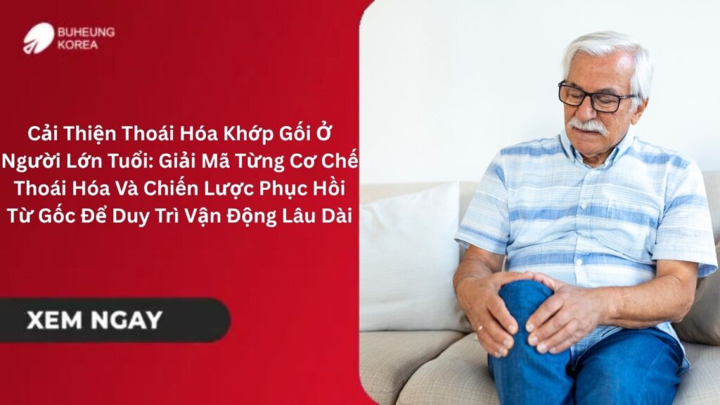 Cải Thiện Thoái Hóa Khớp Gối Ở Người Lớn Tuổi: Giải Mã Từng Cơ Chế Thoái Hóa Và Chiến Lược Phục Hồi Từ Gốc Để Duy Trì Vận Động Lâu Dài