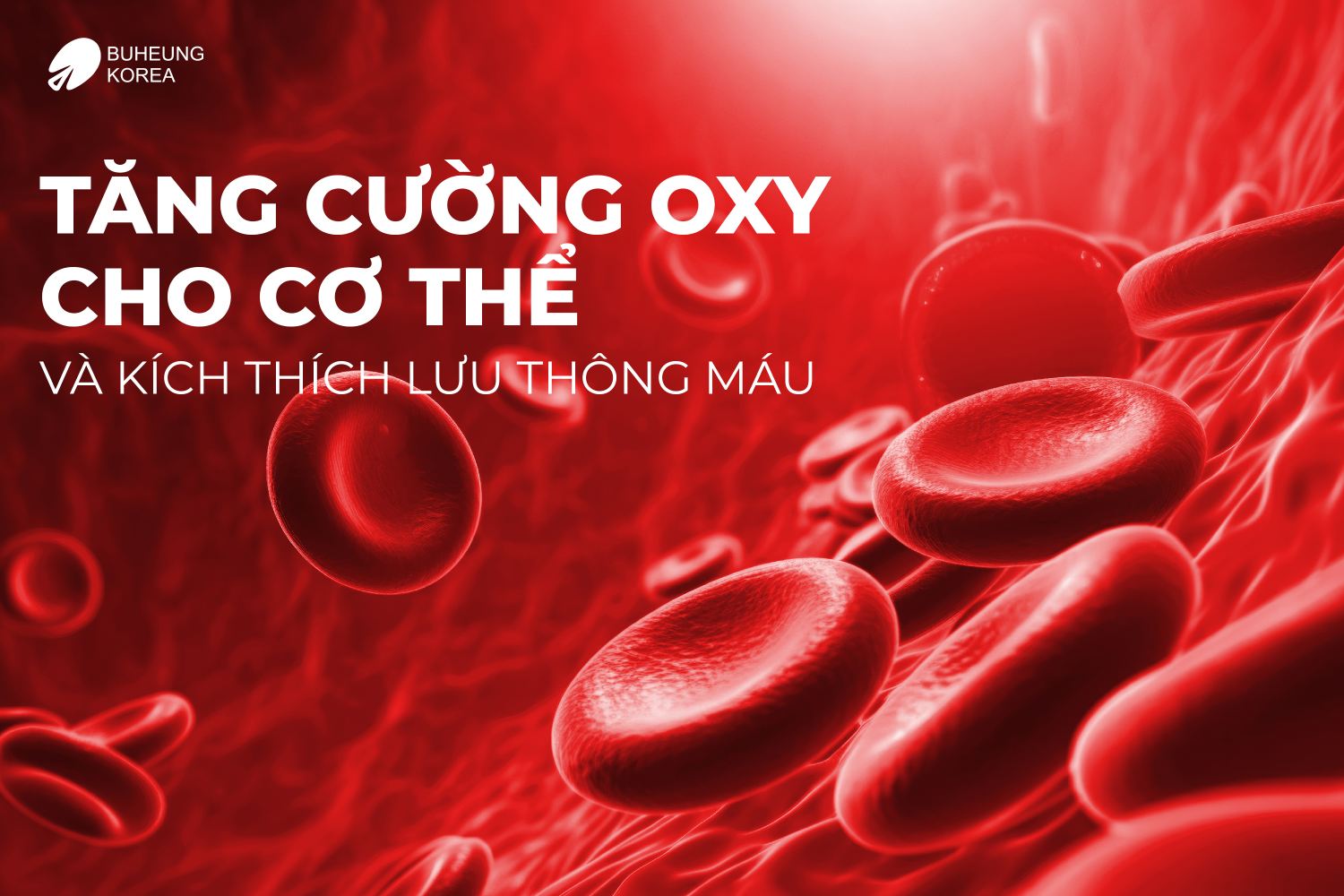 Liệu Pháp Rung Đóng Vai Trò Quan Trọng Như Thế Nào Trong Việc Phục Hồi Chấn Thương 4